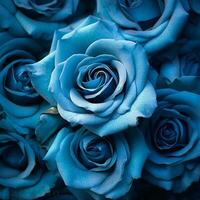 ein fesselnd Anzeige von Herrlich Blau Rose Blüten - - ai generiert foto