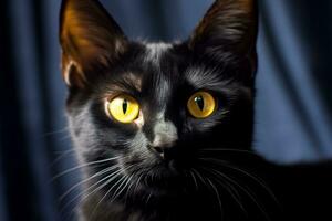 ein schwarz Katze mit Gelb Augen suchen beim das Kamera generativ ai foto