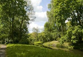 Ruhe malerisch Frühling Landschaft mit Grün Bäume im das Park im zelazowa wola im Polen foto