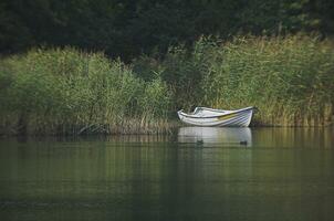 Weiß hölzern Stehen Boot festgemacht im das Schilf auf das See auf ein Sommer- Tag foto
