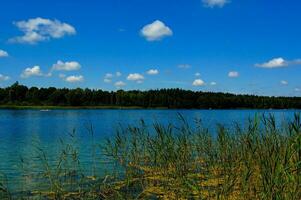 Sommer- idyllisch Landschaft mit ein See unter ein Blau Himmel auf ein warm sonnig Tag foto