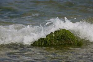 Strand Landschaft mit ein Felsbrocken bewachsen mit Grün Algen und Wellen von das Meer im das Hintergrund foto
