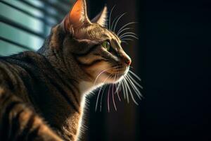 ein Katze suchen aus ein Fenster mit Jalousie generativ ai foto