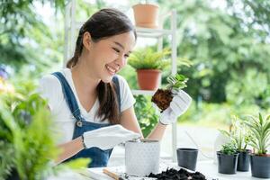 schön asiatisch Frau weiblich Pflanze und nehmen Pflege Bäume im Blumentöpfe wie Hobby und entspannen. Pflanze Der Umsatz klein Geschäft. Haus Garten, Dschungel, Gärtner, Blume Dekoration, Grün, glücklich Lebensstil im Zuhause foto