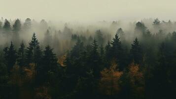 generativ ai, neblig Herbst Tanne Wald schön Landschaft im Hipster Jahrgang retro Stil, nebelig Berge und Bäume. foto