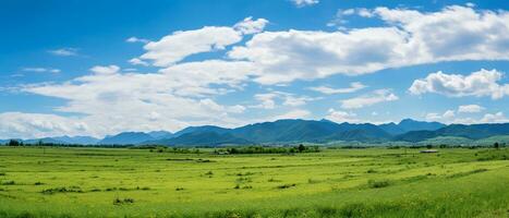 ein Panorama- Bild von ein natürlich Landschaft mit ein Grün Gras Feld. ai generiert foto