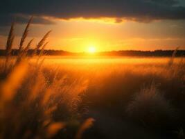 ein atemberaubend Sonnenuntergang im das Feld beim Dämmerung, ai generativ foto