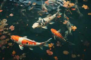 japanisch Fische unter Wasser Teich foto