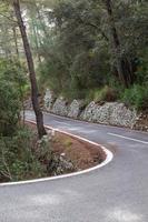 Straße zwischen den Bäumen. Fahrradroute von Mallorca foto