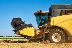 kombinieren Mähdrescher Ernte golden reif Weizen im landwirtschaftlich Feld foto