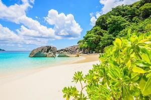 tropischer Strand und Meer foto