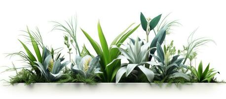 gerendert Innen- Blumen und Pflanzen auf Weiß Hintergrund foto