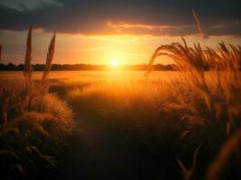 ein atemberaubend Sonnenuntergang im das Feld beim Dämmerung, ai generativ foto