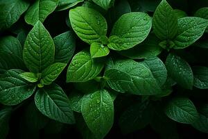 Naturen Schönheit oben Aussicht von Grün Blätter mit kompliziert Texturen ai generiert foto