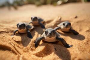 Amphibie. viele Baby Schildkröten auf das sandig Strand und kriechen zu das Ozean. Meer Kreaturen. generativ ai foto