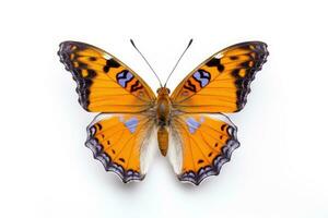 ein schön Schmetterling isoliert auf Weiß Hintergrund. Schmetterling. generativ ai foto