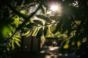 Sonne Strahlen Filtern durch Grün Laub von ein Baum foto