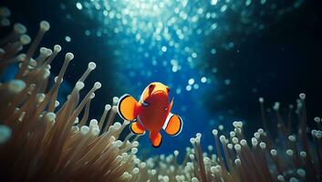 Clown Fisch im Meer Anemone foto