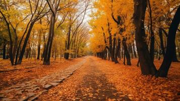 Herbst Wald Weg. Orange Farbe Baum, rot braun Ahorn Blätter im fallen Stadt Park. generativ ai foto