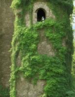 Fee Geschichte Turm Mauer gemacht von Steine und Efeu wachsend Illustration foto
