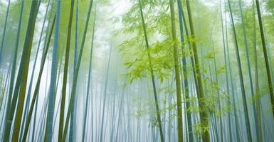 umhüllt im Nebel, das heiter Bambus Wald enthüllt der Natur ätherisch Tapisserie. generativ ai foto