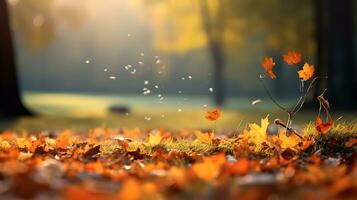 gefallen Blätter auf das Boden im das Herbst Wald. Herbst Hintergrund foto