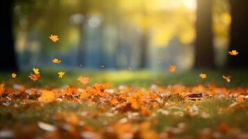 Herbst Blätter im das Park mit Sonnenstrahlen und Bokeh foto