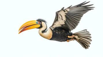 ein großartig Nashornvogel fliegend auf ein Weiß Hintergrund. generativ ai foto