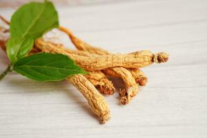 Ginseng Wurzeln und Grün Blatt, organisch Natur gesund Lebensmittel. foto