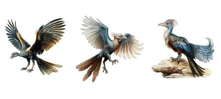 ausgestorben Archaeopteryx Tier foto