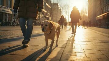 ein leiten Hund hilft ein visuell beeinträchtigte Mann gehen im Stadt. golden, Labrador, leiten Hund. generativ ai foto