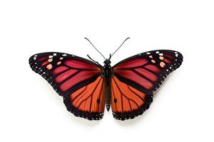 schön rot Monarch Schmetterling isoliert auf Weiß Hintergrund. Schmetterling. generativ ai foto