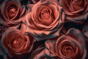 Rosa Rose Textur Hintergrund generativ ai foto
