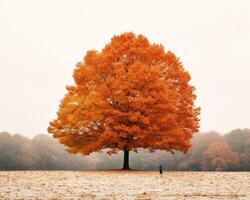 ein einsam Person Stehen im Vorderseite von ein Orange Baum generativ ai foto