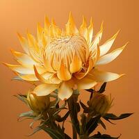 ein Gelb Protea Blume ist gezeigt im Vorderseite von ein Orange Hintergrund generativ ai foto