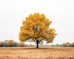 ein Bild von ein einsam Baum im das Mitte von ein Feld generativ ai foto