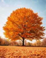 ein Orange Baum im das Mitte von ein Herbst Feld generativ ai foto