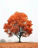 ein Orange Baum im das Mitte von ein nebelig Feld generativ ai foto