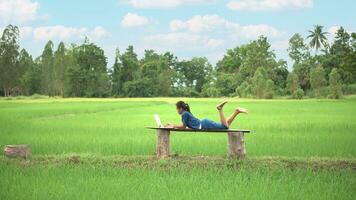 asiatisch Mädchen Leben Streaming auf Smartphone oder Laptop im Reis Feld, Landschaft von Thailand. foto