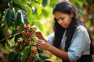 jung Frau pflücken Kaffee von ein Kaffee Plantage im Brasilien, generativ ai foto