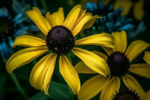 Gelb Blume Blau. generieren ai foto