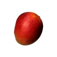 frisch ganze lecker Mango tropisch Frucht, gesund Vitamin organisch Diät, oben Aussicht schließen hoch, Ausschnitt Weg, selektiv Fokus foto