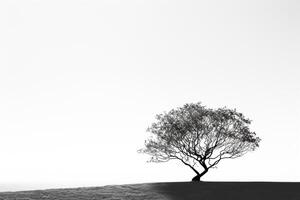 verkörpern Einsamkeit - - monochromatisch Bild von ein einsam Baum Gießen Schatten gegen ein Stark Weiß Hintergrund ai generativ foto