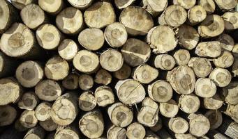 Holzscheite Brennholz