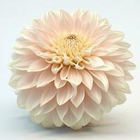3d Blumen gemacht von Keramik mit Pastell- Farben und ein berühren von Gold foto