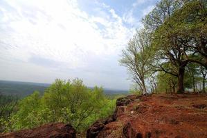 schöne Landschaft mit Bäumen foto