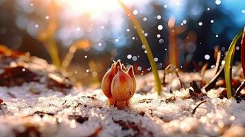 keimen Saat von Gemüse auf das Erde unter Schnee im Winter, ai generiert foto