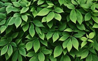 Blatt Konzept Hintergrund nahtlos Muster Grün Laub von Frühling Sommer- Pflanzen. ai generativ foto