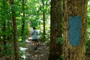 monte sano Zustand Park foto