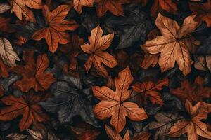 Hintergrund Herbst Blätter im das Stil von dunkel braun und Indigo foto